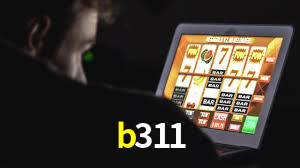 b311