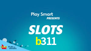 b311